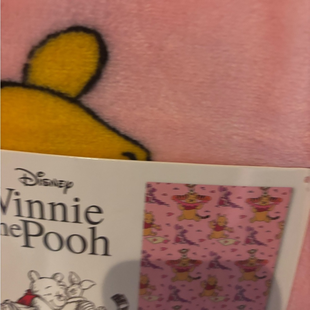 Winnie the Pooh valentines blanket